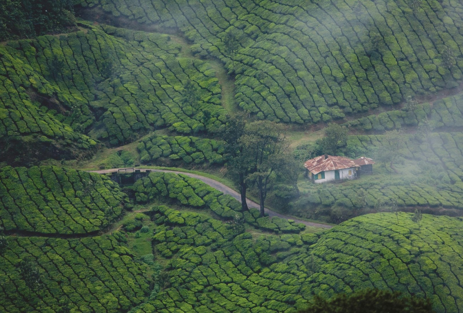 dream-holidays-Jqc2nOH3u3Y-unsplash